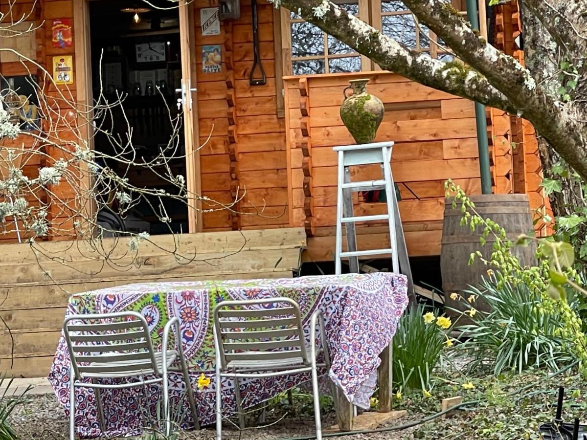 Retro Private Lodge With Hot Tub Nr Dartmoor 뉴턴애벗 외부 사진
