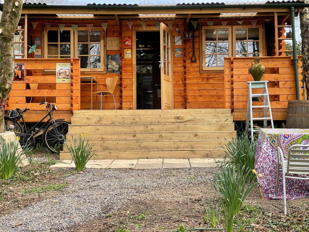 Retro Private Lodge With Hot Tub Nr Dartmoor 뉴턴애벗 외부 사진