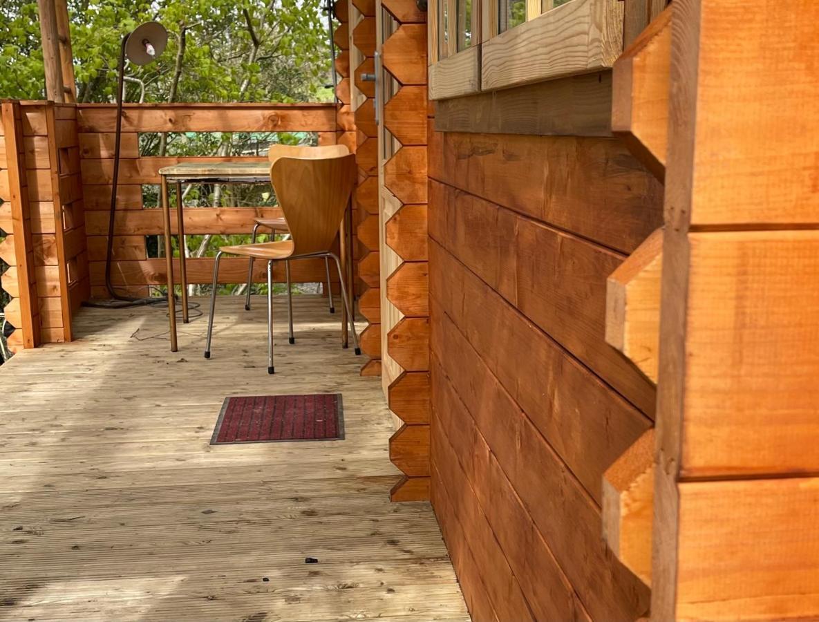 Retro Private Lodge With Hot Tub Nr Dartmoor 뉴턴애벗 외부 사진