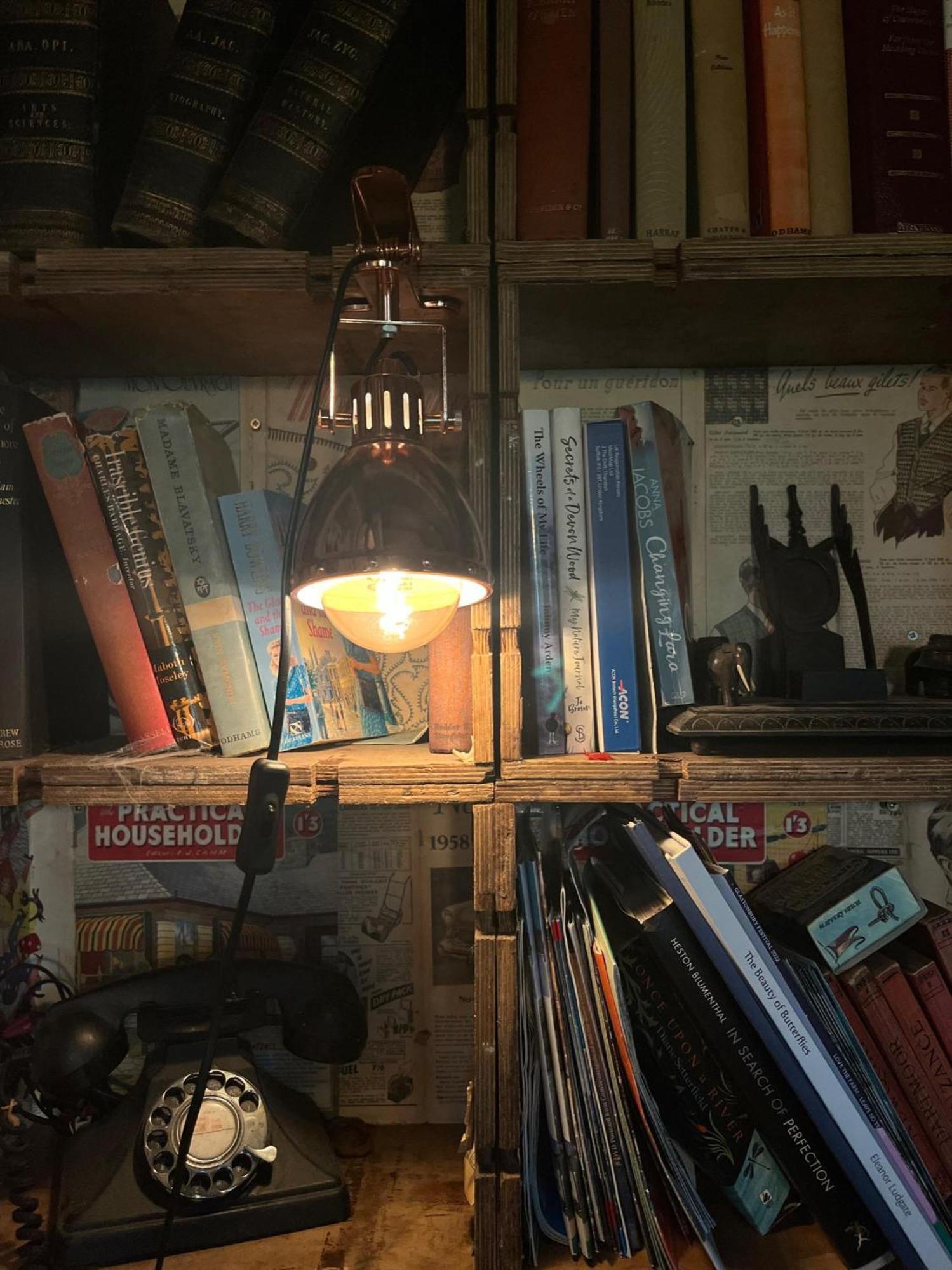 Retro Private Lodge With Hot Tub Nr Dartmoor 뉴턴애벗 외부 사진