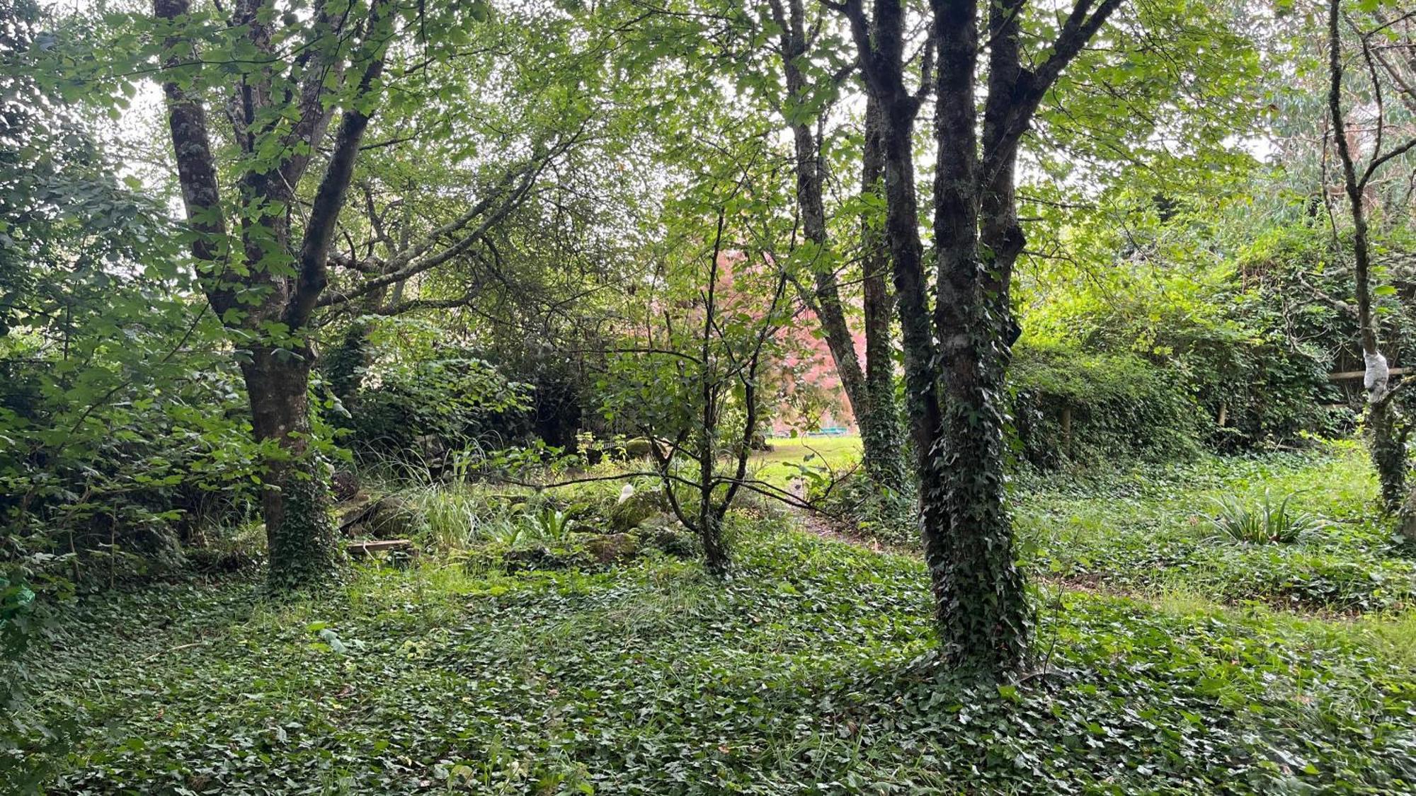 Retro Private Lodge With Hot Tub Nr Dartmoor 뉴턴애벗 외부 사진